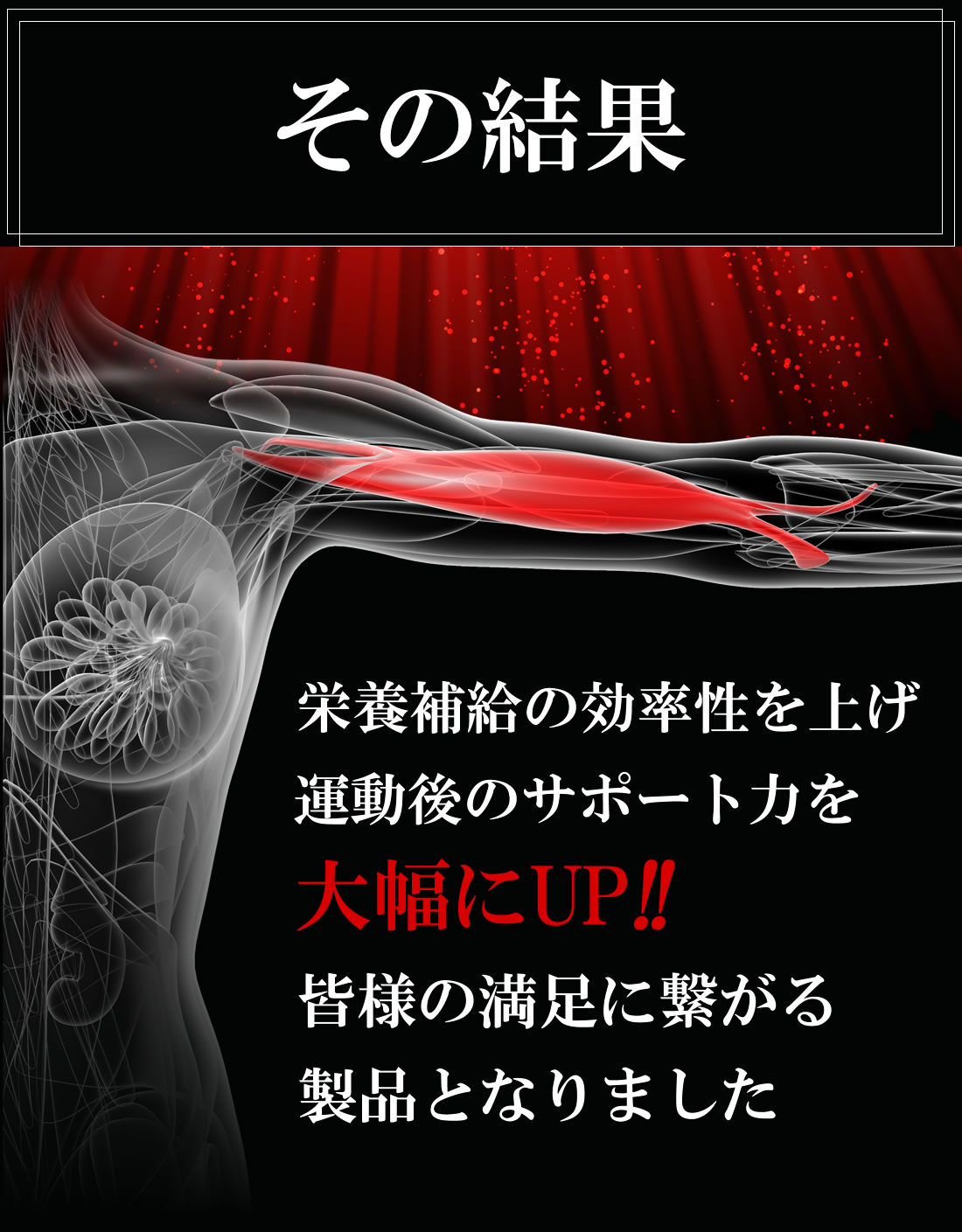 HMBとは