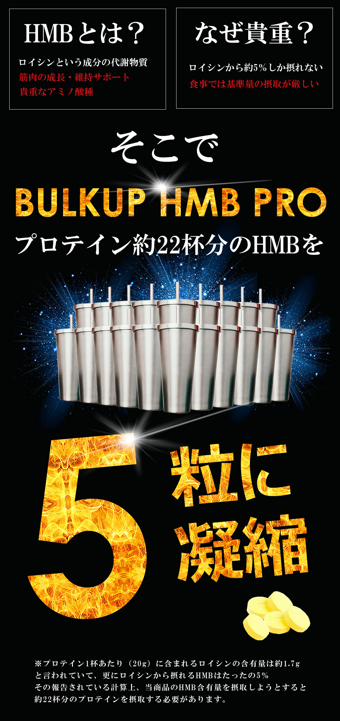 HMBとは